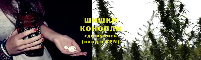 Марихуана SATIVA & INDICA  Химки 